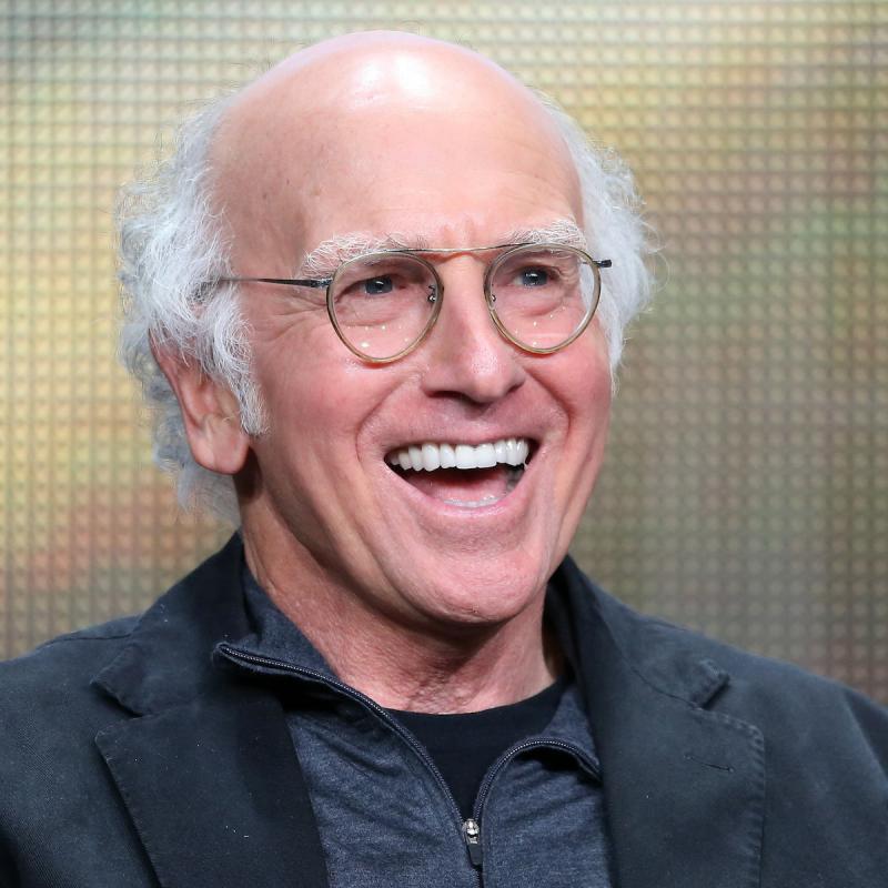Writer and actor Larry David